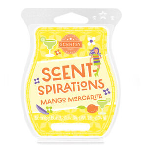 Scentsy Welcome Home Wax Bar New Cinnamon Spice Cozy Fall Fragrance Melt